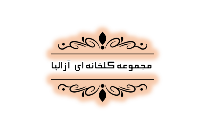 حسابداری شرکتها در رشت